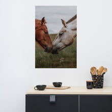 Horses Kissing Poster