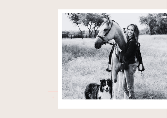 Rewriting the Relationship: Building Trust with Horses on Their Terms