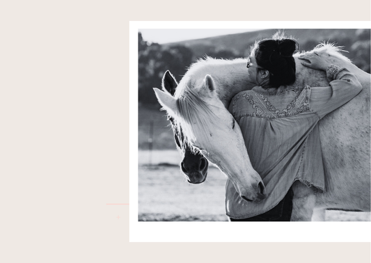 Trust, Freedom, and Horses: Rachel Liana’s Equestrian Journey