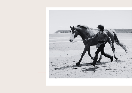 Kindness First: How Shelby Dennis Is Changing the Narrative in Horsemanship