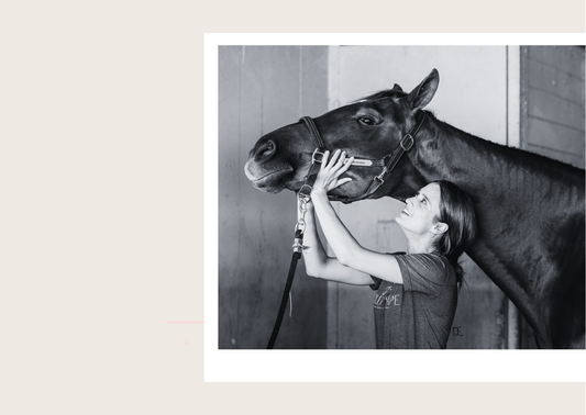 The Horse’s Voice: Ashley’s Journey from Bodywork to Deep Connection